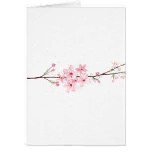 Kirschblüten Blumen