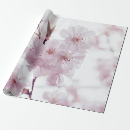 KIRSCHBLÜTEN BLUMEN GESCHENKPAPIER (Ungerollt)