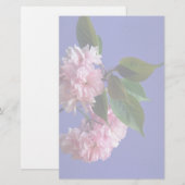 Kirschblüten Briefpapier (Vorne/Hinten)