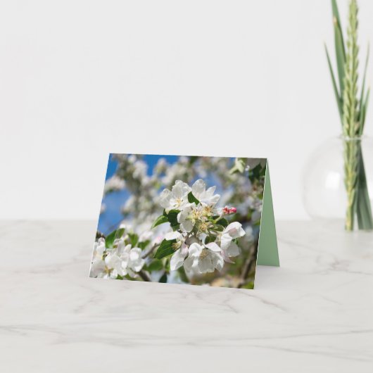 Kirschblüten. Dankeskarte (Vorderseite)