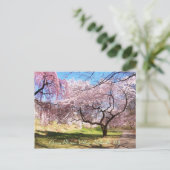 Kirschblüten-Dorf 01 Postkarte (Stehend Vorderseite)