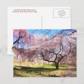 Kirschblüten-Dorf 01 Postkarte (Vorne/Hinten)