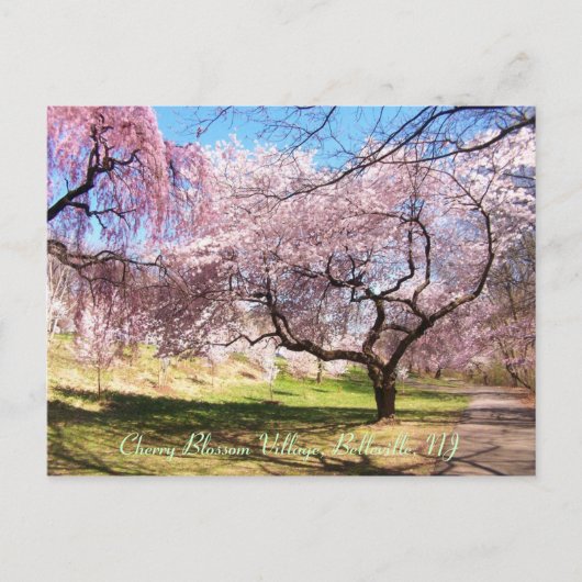 Kirschblüten-Dorf 01 Postkarte (Vorderseite)