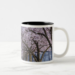 Kirschblüten entlang des Willamette-Flusses, USA Zweifarbige Tasse