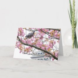 Kirschblüten Faltkarte Karte