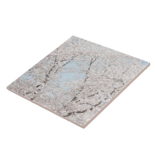 Kirschblüten Fliese (Seite)