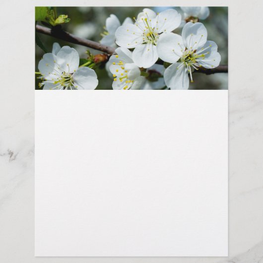 Kirschblüten Flyer (Vorne)