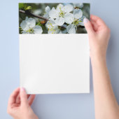 Kirschblüten Flyer (Hand)