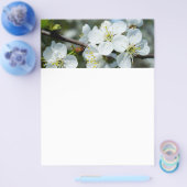 Kirschblüten Flyer (Einzeln)