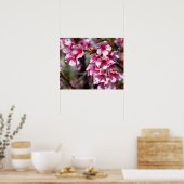 Kirschblüten Foto Print Poster (Küche)