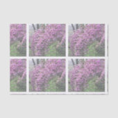 Kirschblüten-französisches Skript Decoupage Seidenpapier (Vorderseite)