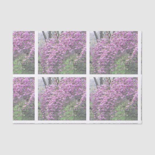 Kirschblüten-französisches Skript Decoupage Seidenpapier (Vorderseite)