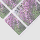 Kirschblüten-französisches Skript Decoupage Seidenpapier (Ausschnitt)