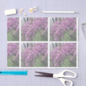 Kirschblüten-französisches Skript Decoupage Seidenpapier (Handwerk)