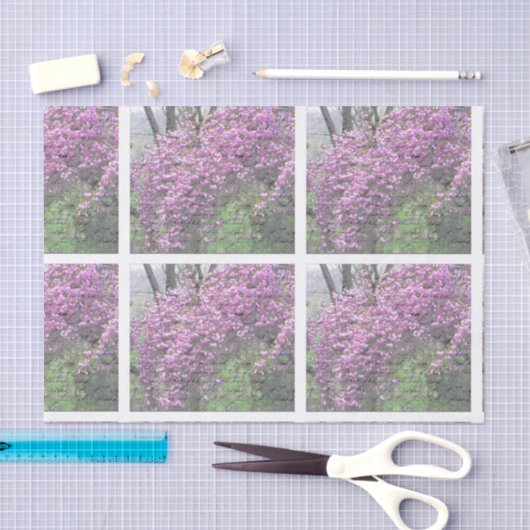 Kirschblüten-französisches Skript Decoupage Seidenpapier (Handwerk)