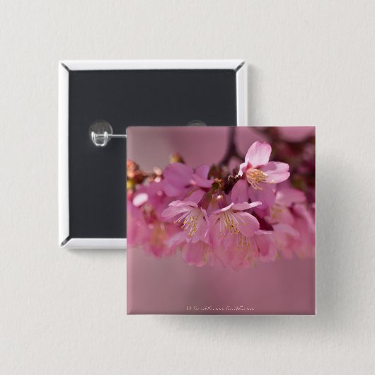 Kirschblüten Frühjahr 2012 Bekleidung & Geschenke Button (Vorne & Hinten)