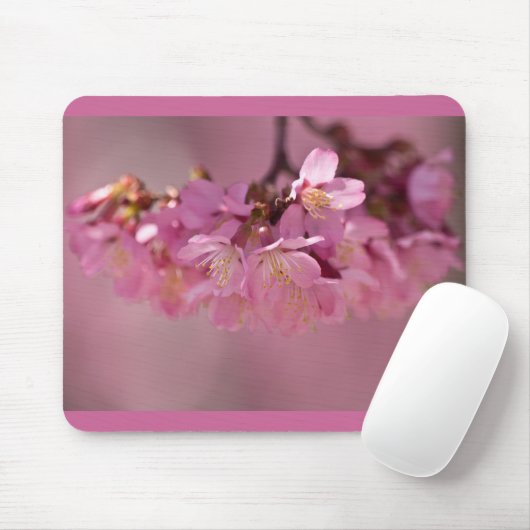 Kirschblüten Frühjahr 2012 Bekleidung & Geschenke Mousepad (Mit Mouse)