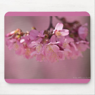Kirschblüten Frühjahr 2012 Bekleidung & Geschenke Mousepad
