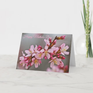 Kirschblüten gegen einen grauen Himmel Karte