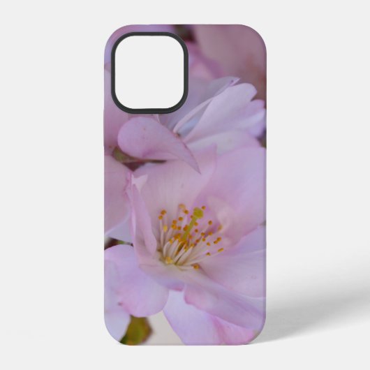 Kirschblüten-Geschenkbox Case-Mate iPhone-Hülle iPhone Hülle (Rückseite)