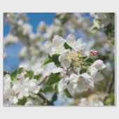 Kirschblüten. Geschenkpapier (Flach)