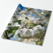 Kirschblüten. Geschenkpapier (Ungerollt)