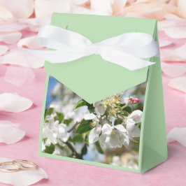 Kirschblüten. Geschenkschachtel