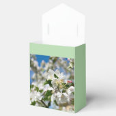Kirschblüten. Geschenkschachtel (Geöffnet)