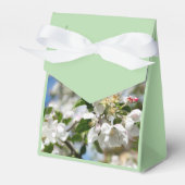Kirschblüten. Geschenkschachtel (Vorderseite)