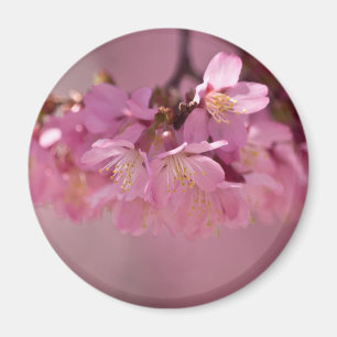 Kirschblüten-Heißes Quellen 2012 Bekleidung & Gesc Magnet