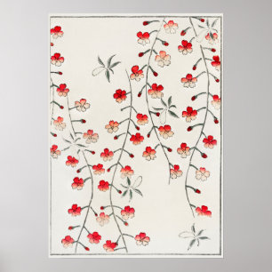 Kirschblüten-Illustration. Digital verbessert Poster