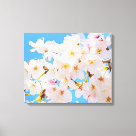 Kirschblüten im Frühling Leinwanddruck