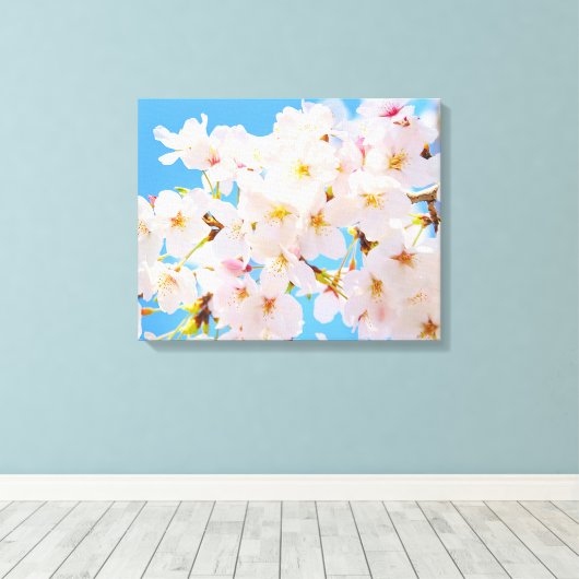 Kirschblüten im Frühling Leinwanddruck (Insitu (Holzboden))