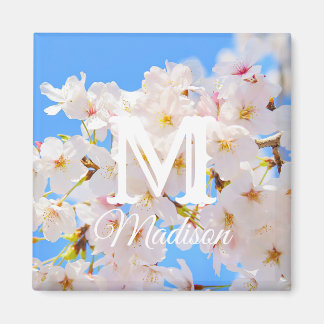 Kirschblüten im Frühling Magnet