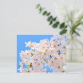 Kirschblüten im Frühling Postkarte (Stehend Vorderseite)