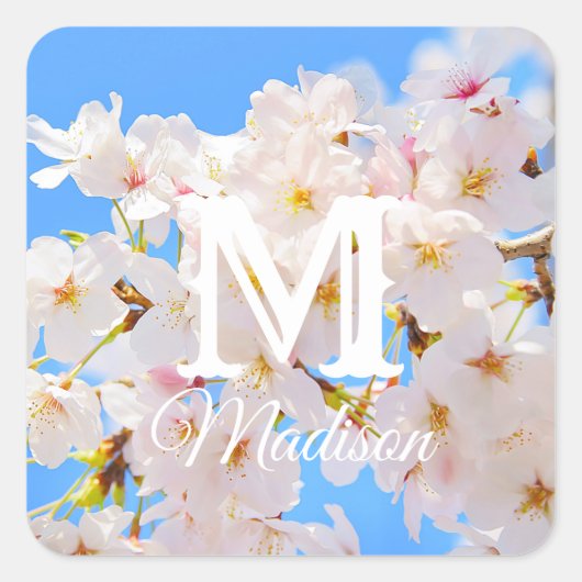 Kirschblüten im Frühling Quadratischer Aufkleber (Vorderseite)