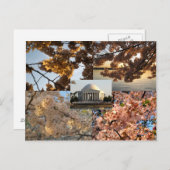 Kirschblüten im Gezeitenbecken der DC Postkarte (Vorne/Hinten)