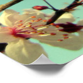 Kirschblüten im Himmel-Poster Poster (Ecke)
