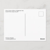 Kirschblüten im Lincoln Park Postkarte (Rückseite)