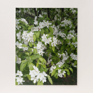 Kirschblüten im Schatten und im Licht Puzzle