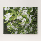 Kirschblüten im Schatten und im Licht Puzzle (Horizontal)
