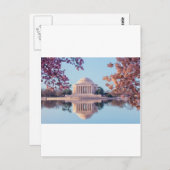 Kirschblüten im Washington DC Postkarte (Vorne/Hinten)