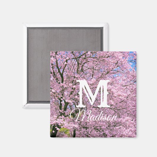 Kirschblüten in Blüte Magnet (Vorderseite/Rückseite)