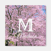 Kirschblüten in Blüte Magnet (Vorne)