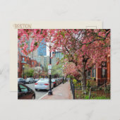 Kirschblüten in Boston Massachusetts Postkarte (Vorne/Hinten)