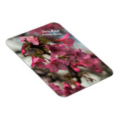 Kirschblüten in Hawaii Magnet (Rechte Seite)
