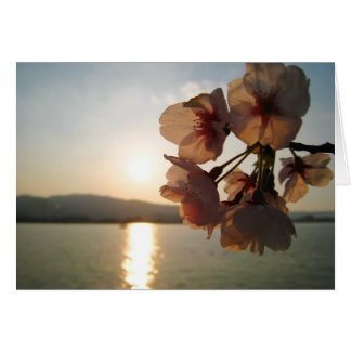 Kirschblüten in Japan-Karte