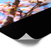 Kirschblüten in Japan Poster (Ecke)