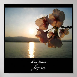 Kirschblüten in Japan Poster