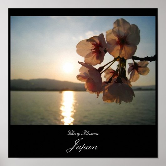 Kirschblüten in Japan Poster (Vorne)
